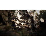 Resident Evil 7: Biohazard, Capcom, PlayStation 4, 013388560288